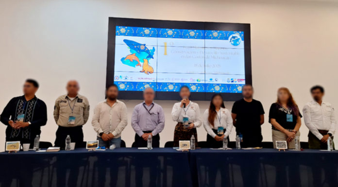 Participa Profepa en el primer Foro de Mamíferos Marinos en Michoacán