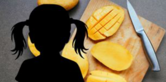 #México: Niña de 3 años muere tras herirse con un cuchillo al intentar cortar un mango