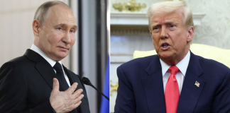 “No logramos ningún progreso”: Trump tras llamada con Putin para negociar la paz en Ucrania