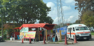 Vecinos de la colonia La Soledad acusan que personas tiraron árboles para colocar un puesto de carnitas