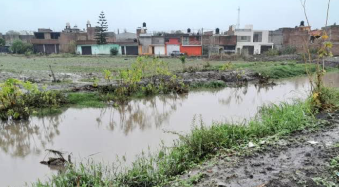 Continúa retiro de basura en ríos, drenes y colonias de Morelia