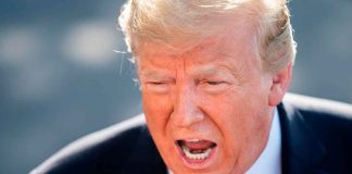 ¡Alerta económica! México lucha contra los nuevos aranceles de Trump