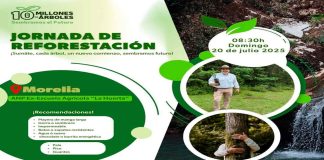 Gobierno del Estado invita a Jornada de Reforestación en Morelia