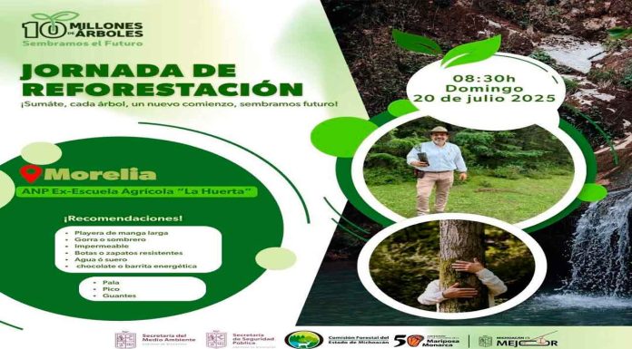 Gobierno del Estado invita a Jornada de Reforestación en Morelia