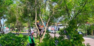 Gobierno de Morelia inicia semana con jornada de limpieza en Av. Fray Antonio de San Miguel