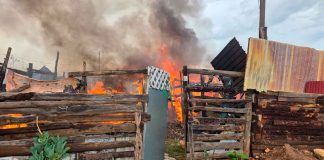 #Morelia; arden 3 casas de madera en la colonia irregular El Polvorín