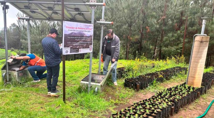 Sin indicios de actividad volcánica en Tancítaro: PC estatal