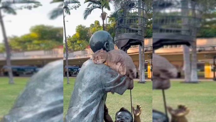 gato-en-estatua