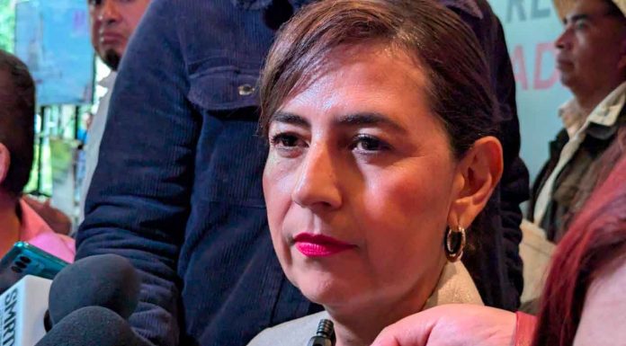 Sin fecha visita de Mario Delgado a Michoacán: Gabriela Molina Aguilar