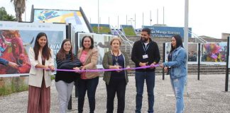 Inaugura SeCultura exposición fotográfica “Carnaval del Torito de Petate”, en el Colegio de Morelia