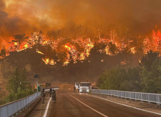 #VIDEO || Incendio forestal obliga evacuaciones en Bursa, Turquía