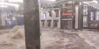 #VIDEO || Inundaciones en estaciones del metro de Nueva York debido a las lluvias
