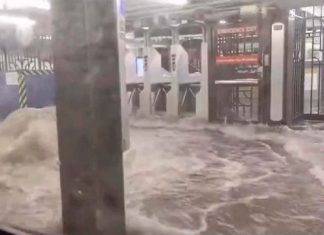 #VIDEO || Inundaciones en estaciones del metro de Nueva York debido a las lluvias
