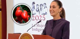 Ante aranceles estadounidenses Gobierno Federal busca otras rutas de exportación para jitomate mexicano