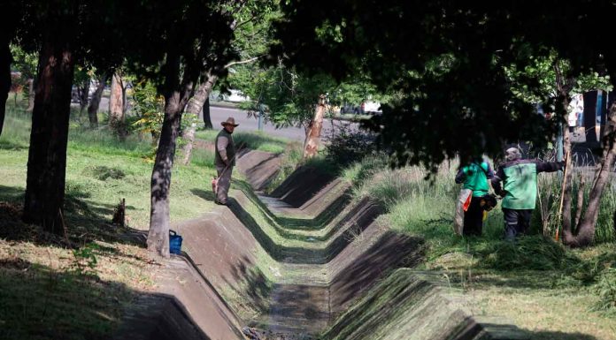 Brigadas del Gobierno de Morelia intervienen Libramiento Paseo de la República