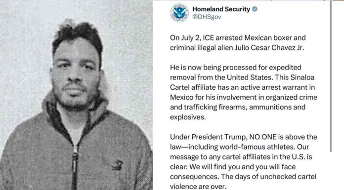 #VIDEO | Julio Cesar Chávez Jr. Enfrenta deportación tras detención del ICE y supuesta vinculación con el Cártel de Sinaloa