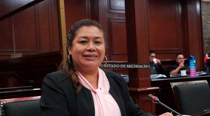 Propone Belinda Iturbide reformar la Ley de Protección Civil