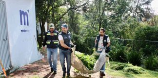 En colonia Cayetano Andrade, encabeza Yankel Benítez jornada de limpieza