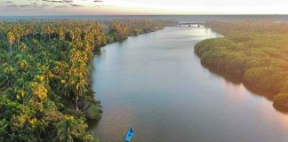 Manglares de Michoacán, más de 4 mil hectáreas de tesoro natural bajo protección: Secma