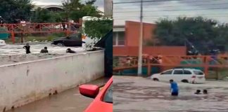 #VIDEO || ¡Del chapuzón al sustazo! Niños nadan entre camiones en calles inundadas de Nuevo León