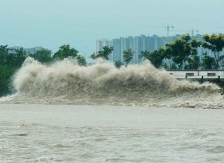 #VIDEO ||🌀 ¡Impactante llegada del tifón Co-May a China!