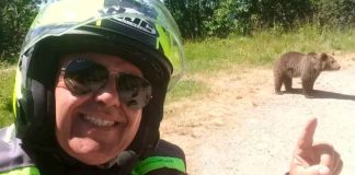 Turista es asesinado por un oso después de posar para una selfie con su cachorro