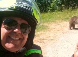 Turista es asesinado por un oso después de posar para una selfie con su cachorro