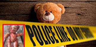 Insólito hallazgo en California, Oso de peluche con “piel humana” causa pánico