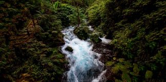 Uruapan te espera, descubre la belleza natural de su parque nacional: Sectur