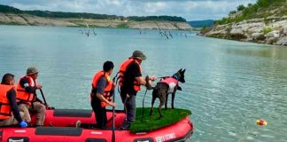 Texas agradece a México; canes rescatistas se unen a búsqueda de víctimas por inundaciones récord