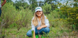 Impulsa Dayana Pérez el Medio Ambiente con la Plantación de 2,500 Pinos en Salvador Escalante
