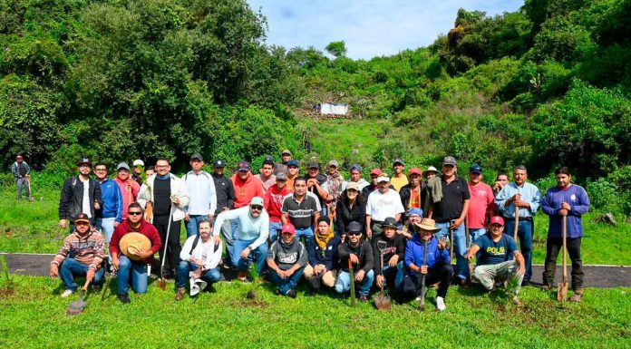 Arranca gobierno de Zacapu campaña de reforestación 2025 en la comunidad de Los Ajolotes