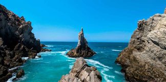 Lanzan app Playas Mx; permite consultar resultados del monitoreo de la calidad del agua de mar en los 17 estados costeros