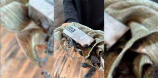 #VIDEO || Explota pila portátil en restaurante del Pedregal