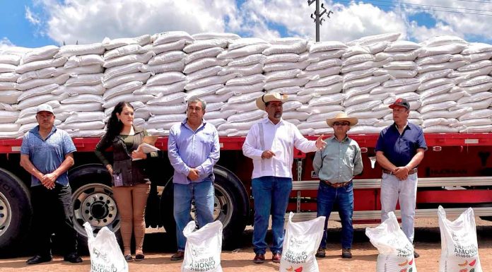 Apoyo directo a productores de Puruándiro con fertilizante a bajo costo