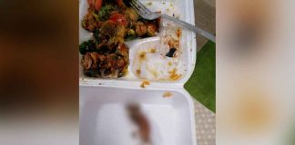 #México: ¡Se les fue ratatouille entero! Encuentran ratón muerto en platillo de comida china