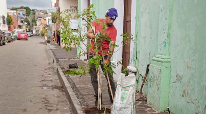Jiquilpan se embellece con nueva jornada de reforestación