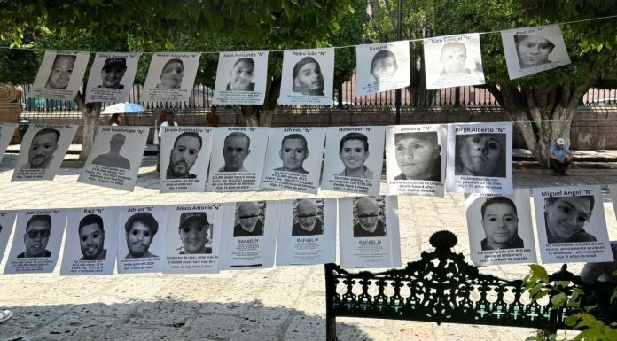 RedCoFem exhibe tendedero de padres abandonicos y deudores alimentarios en plaza de armas