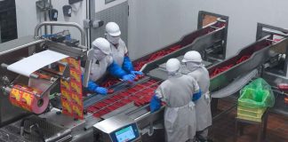 Parque Bajío impulsará sectores de agroindustria, autopartes y logística: Sedeco