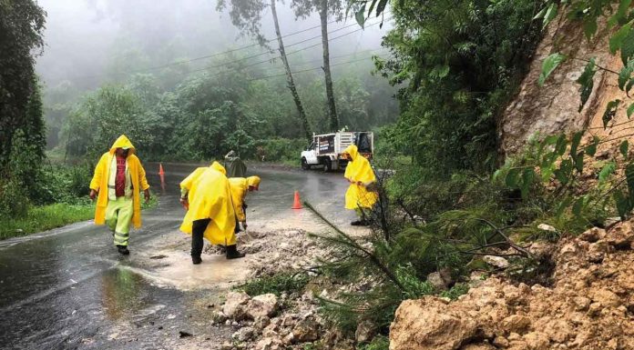 Tu seguridad es prioridad; reporta incidentes en carreteras y evita riesgos: SCOP