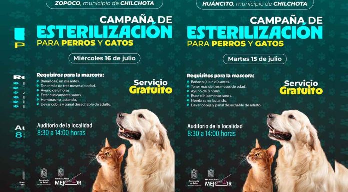 Ofrece SSM esterilización gratuita para mascotas en 3 municipios