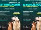 Ofrece SSM esterilización gratuita para mascotas en 3 municipios