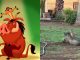 #VIDEO || ¡Hakuna Matata en la vida real! Jabalí y suricata se roban el show en video viral