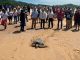 #VIDEO | Michoacán, hogar de la tortuga marina; arranca temporada de protección y conservación