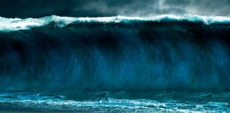 #VIDEO || ¡Alarma en Iquique! Evacuación urgente en el borde costero tras alerta de tsunami.