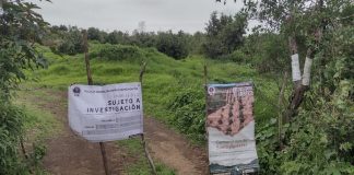 Cumplimenta FGE orden de cateo en predio relacionado con plantación ilegal de aguacate, en tenencia de Capula