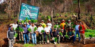 Reforestan área siniestrada como parte del compromiso ambiental en Zacapu
