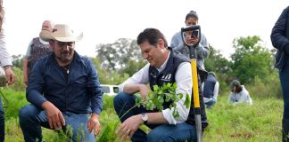 Morelia planta futuro: Alfonso Martínez encabeza jornada de reforestación en Chiquimitío