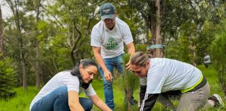 “Un Árbol por la Vida”: Jiquilpan reafirma su compromiso con el medio ambiente