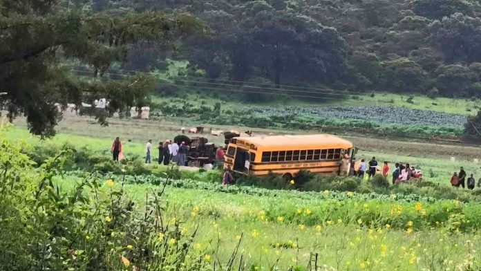 AUTOBUS3